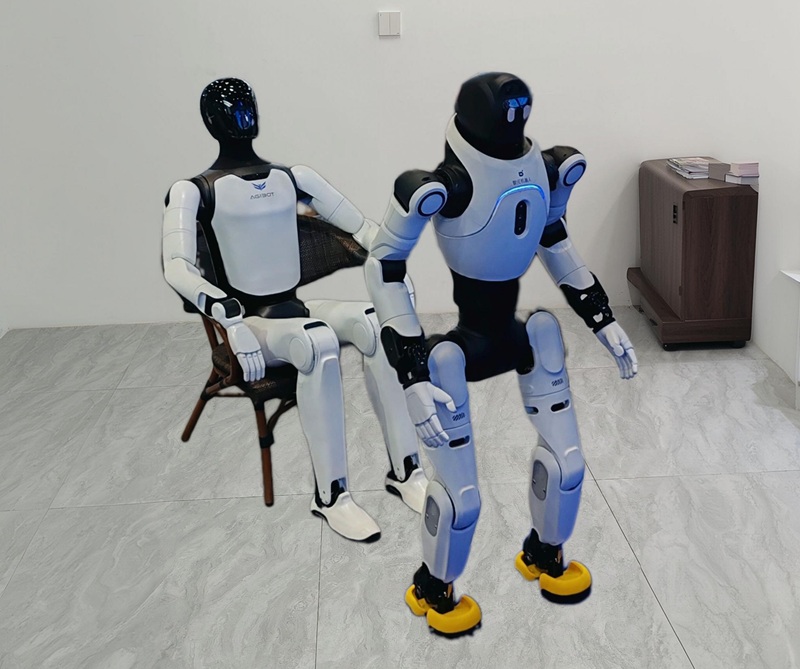 Quadruped robot cover installed